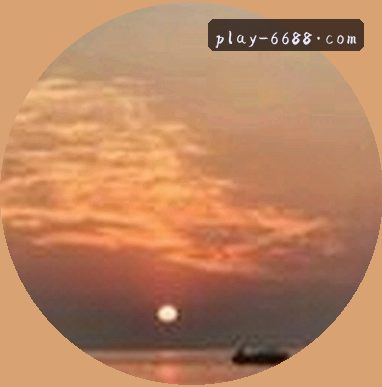 郑婷